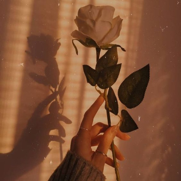 Meet your Posher, Megan - Picture 1 of 1